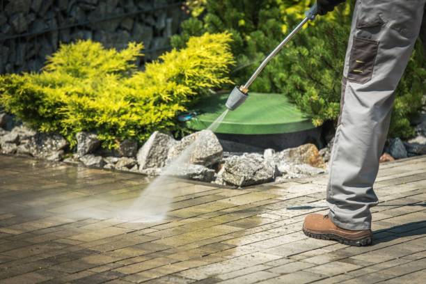 Best Winterizing Services  in East Newark, NJ